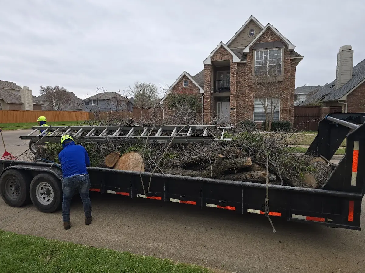 Expert Lot Clearing with proper safety equipment in Patten